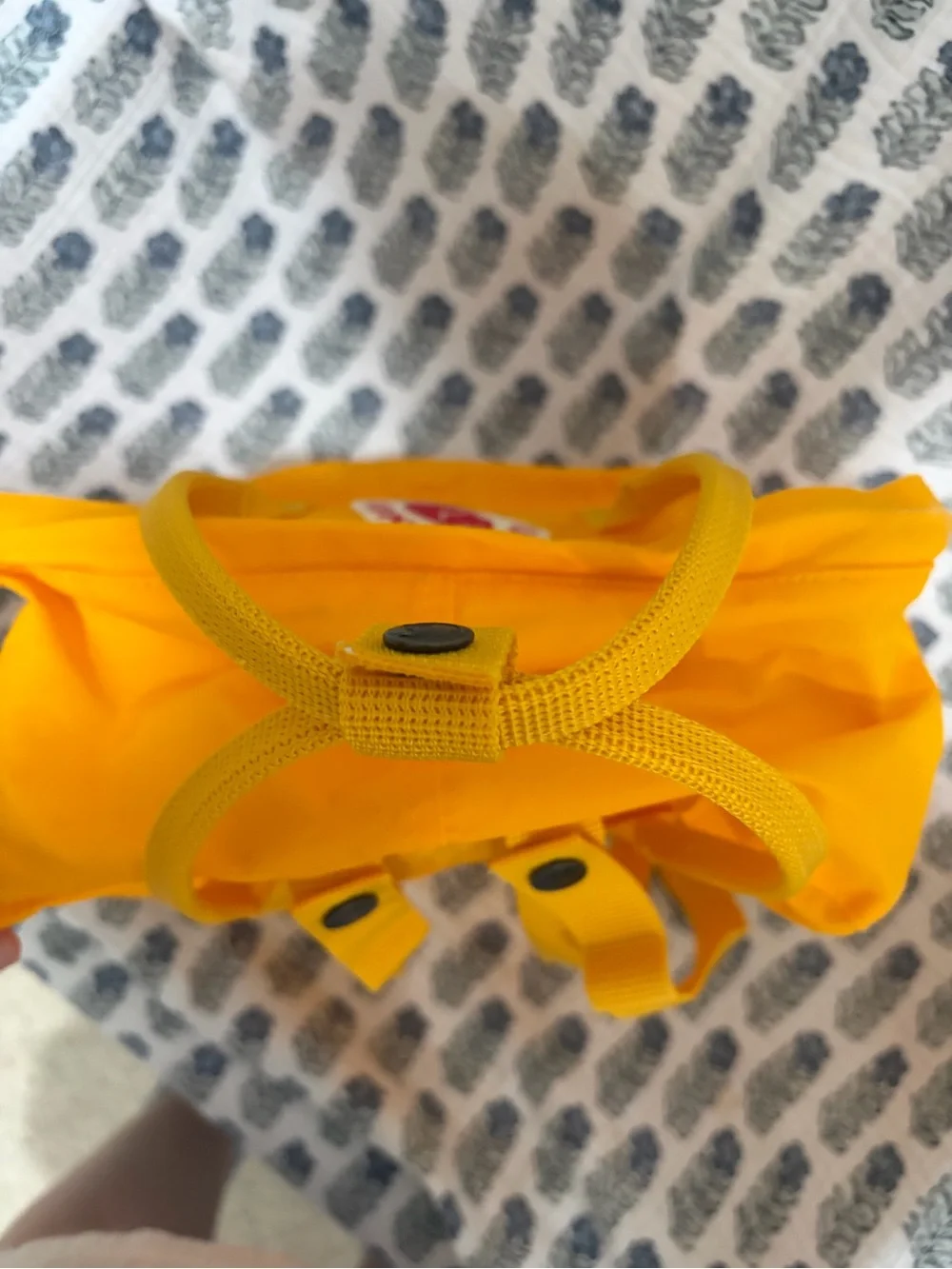 Fjallraven backpack get